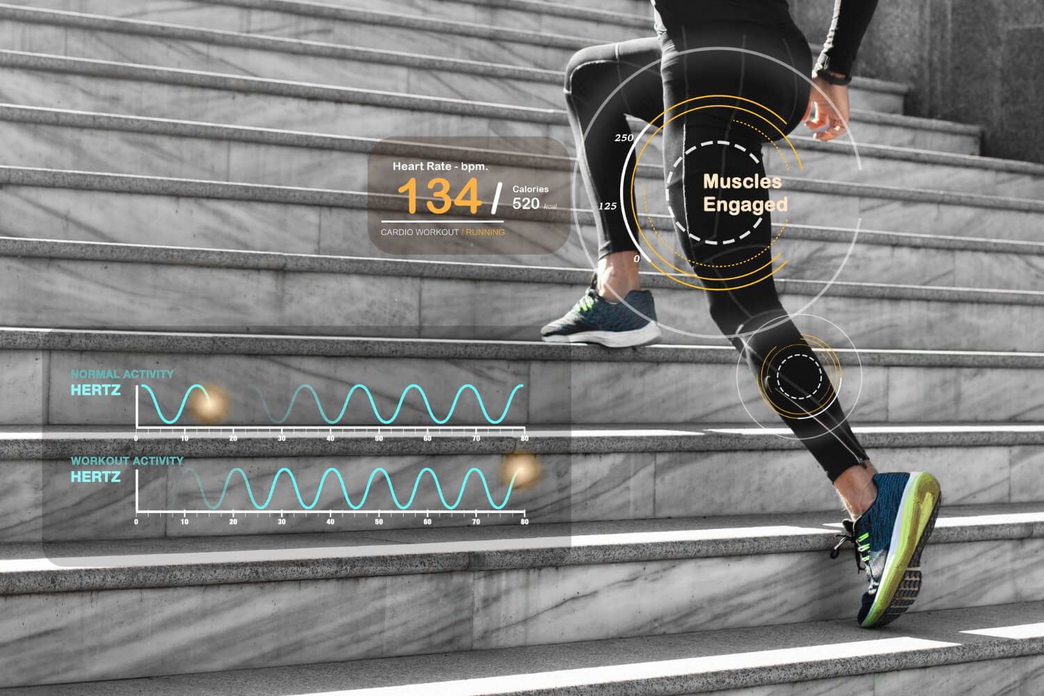 Biomechanical Analysis for Sports